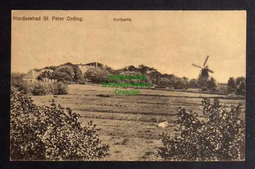 126555 AK Nordseebad Sankt Peter-Ording 1919 Tating Dorfpartie mit Windmühle