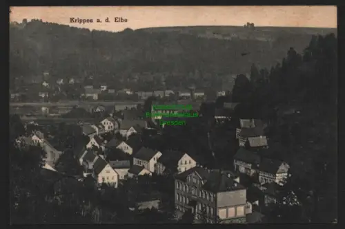 149405 AK Krippen an der Elbe 1928