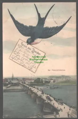 152272 AK Dresden 1906 Kgl. Finanzministerium Schwalbe Elbe  Augustusbrücke