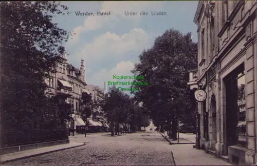 166176 AK Werder Havel Unter den Linden 1912