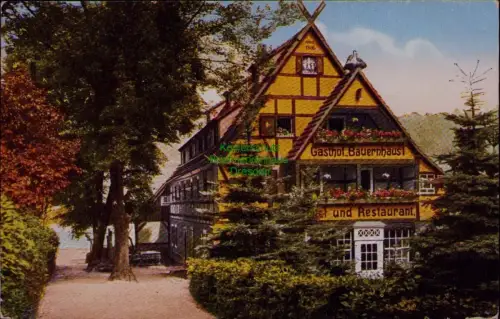 166743 AK Sächs. Schweiz Bauernhäus'l Pötzscha-Wehlen Idyllisch an der Elbe gele