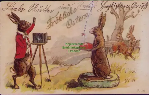 167161 AK Ostern Osterhase als Fotograf Berlin Rixdorf 1905