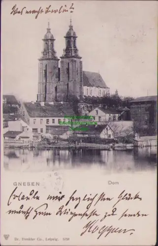 168116 AK Gniezno Gnesen 1902 Dom Verlag Dr. Trenkler Co., Leipzig. 5758