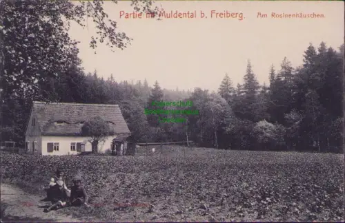 190265 AK Partie Muldental b. Freiberg. Am Rosinenhäuschen um 1910