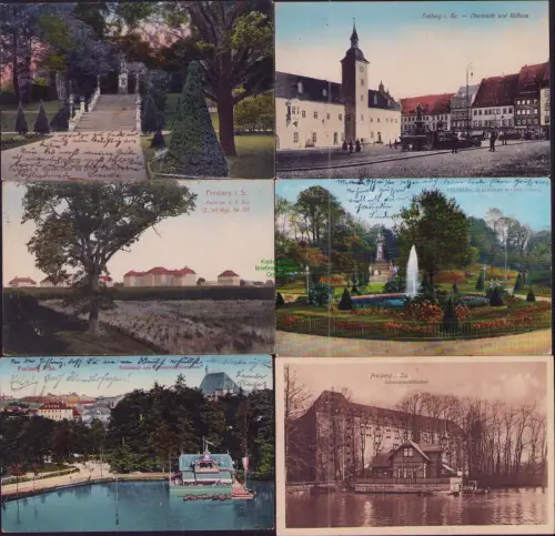 191513 6 AK Freiberg 1912 1914 Freitreppe u. Körner-Eiche im König Albert-Park O