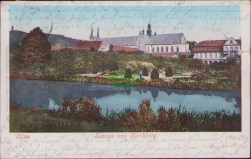 192263 AK Danzig Oliva 1900 Schloss und Karlsberg