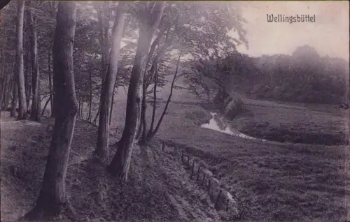 191708 AK Wellingsbüttel Bahnpost Hamburg-Osnabrück 1915
