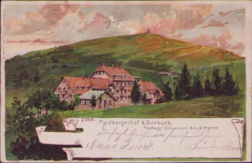 191849 AK Feldbergerhof & Seebuck 1903 Feldberg Schwarzwald. Bes; C. MAYER FR SC