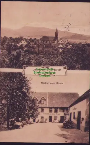 192429 AK Luftkurort Thiergarten bei Oberkirch Gasthof z. goldenen Hirsch 1910