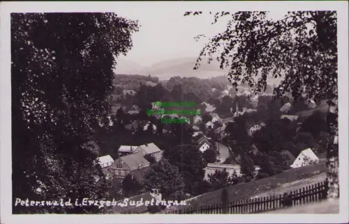 168777 AK Peterswald i.Erzgeb. Sudetengau