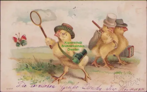 168655 AK OSTERN Hamburg 1901 Kücken vermenschlicht Schmetterling