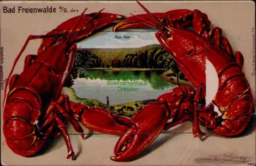 164949 AK Bad Freienwalde Baa-See um 1910 mit Leporello Kriegerdenkmal Wilhelmst