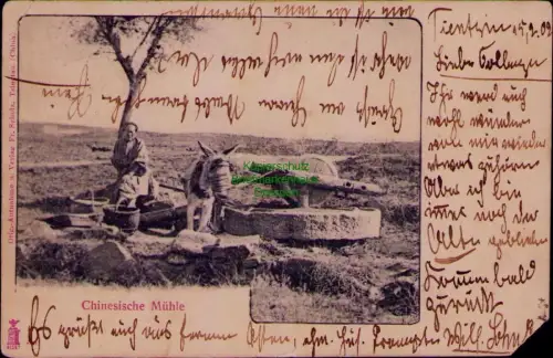 168888 AK Tientsin China 1902 Chinesische Mühle Orig.-Aufnahme Verlag E. Scholz