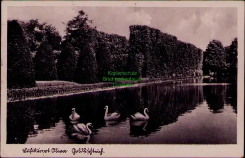 192829 AK Luftkurort Danzig Oliva Goldfischteich 1942