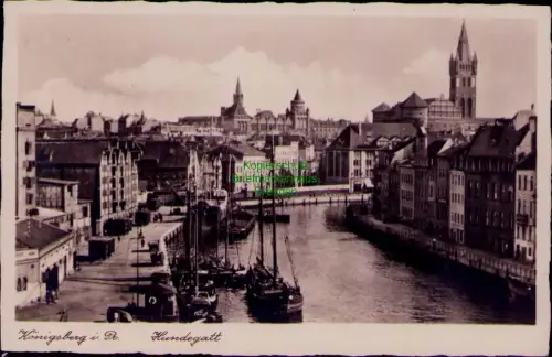 193130 AK Königsberg i. Pr. 1938 Hundegatt opr