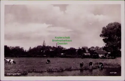 193554 AK Ribnitz-Damgarten 1953