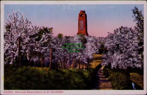 193566 AK Guben um 1920 Blick zum Bismarckturm in der Baumblüte