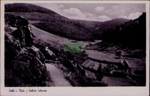 193572 AK Suhl i. Thür.  Suhler Schweiz 1952