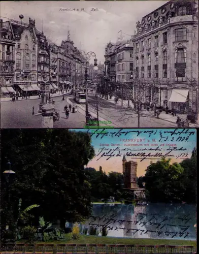 194221 2 AK Frankfurt a. M. Zeil 1909 Zoolog. Garten Aussichtsturm mit Teich und