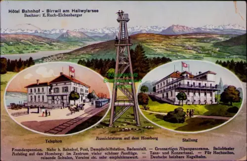 194287 AK Hotel Bahnhof - Birrwil am Hallwylersee 1913 Besitzer: E. Ruch-Eichenb