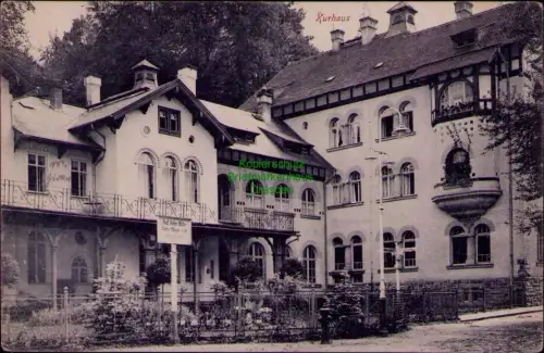 194297 AK Augustusbad bei Radeberg 1917 Kurhaus