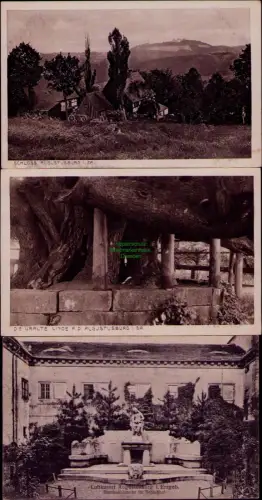 194304 3 AK Luftkurort Augustusburg i. Erzgeb. Märchenbrunnen im Schloßhof um 19