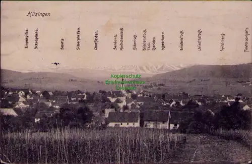 194335 AK Hilzingen Kreis Konstanz 1917 mit Alpenpanorama Zimpaspitze Scesaplana