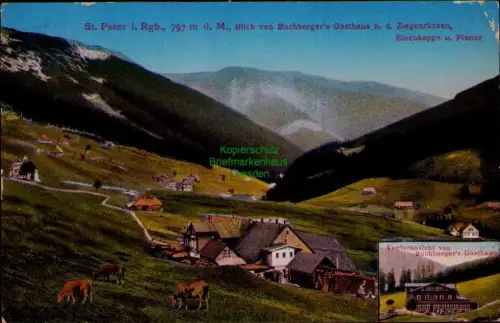 194438 AK St. Peter i. Rgb. 1911, Blick von Buchberger's Gasthaus n. d. Ziegenrü