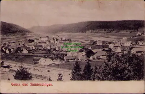 169007 AK Gruss aus Immendingen Panorama 1908