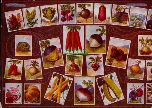 169091 AK Osnabrück Osnabrücker Central-Saatstelle Stahn & Finke, G. m. b. H. 19