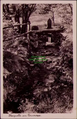 194476 AK Ilsequelle am Tornowsee 1940 Landpoststempel Binenwalde über Neuruppin