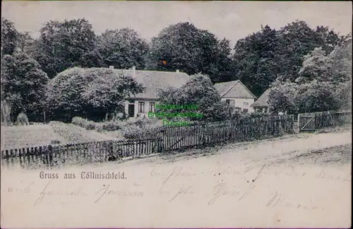 194487 AK Gruss aus Cöllnischfeld Köllnischfeld Springe 1902