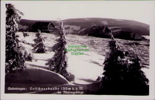 194498 AK Sudetengau Leischnerbaude 1263 m ü. d. M. im Riesengebirge Gross Aupa