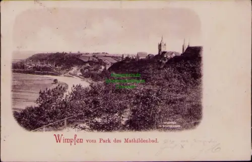 194583 AK Wimpfen vom Park des Mathildenbad 1901 Solbadhotel
