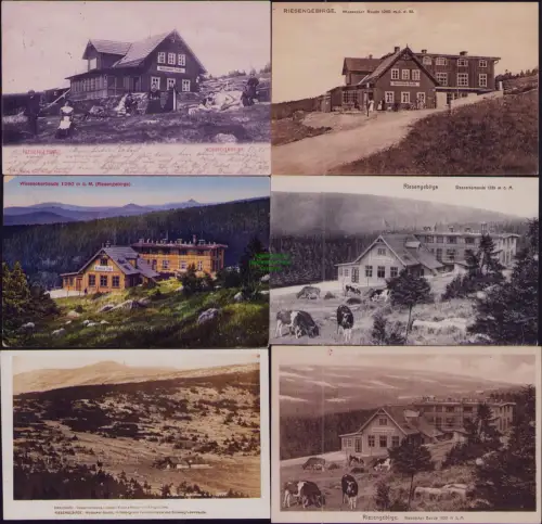 167478 6 AK Riesengebirge Wosecker Baude um 1925 VOSECKA BOUDA