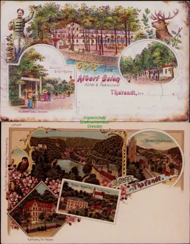 195028 2 AK Tharandt 1899 Albert-Salon Besitzer Ernst Richter Hotel & Restaurant