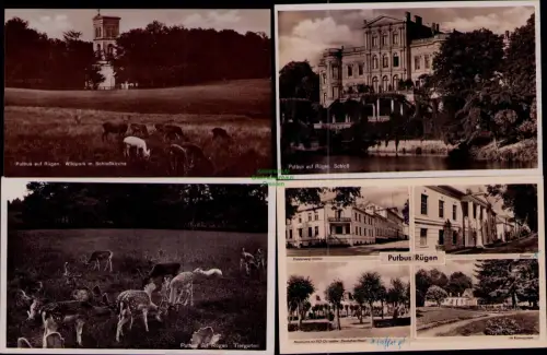 169210 4 AK Putbus auf Rügen Wildpark m. Schloßkirche 1927 Schloß Diesterweg-Ins