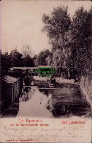 195257 AK Bad Lippspringe Die Lippequelle 1905 von der Kurhausmühle gesehen Verl