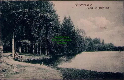 195309 AK LÖTZEN O. Pr. 1921 Partie im Stadtwald