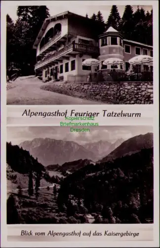 195332 AK Oberaudorf 1937 Alpengasthof Feuriger Tatzelwurm Blick vom Alpengastho