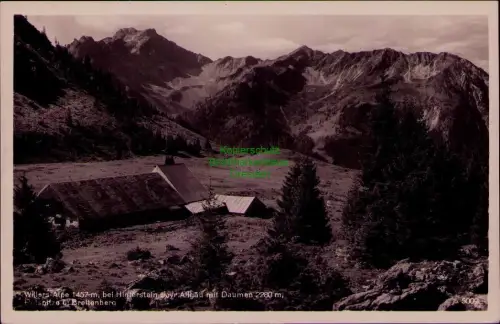 195333 AK Willers Alpe 1457 m bei Hinterstein bayr. Allgäu mit Daumen Potspitze