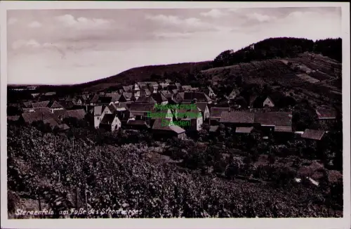 195337 AK Sternenfels am Fuße des Stromberges 1959