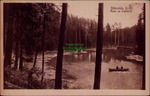 195546 AK Allenstein, O.-Pr. um 1920 Partie im Stadtwald Eckknick rechts oben