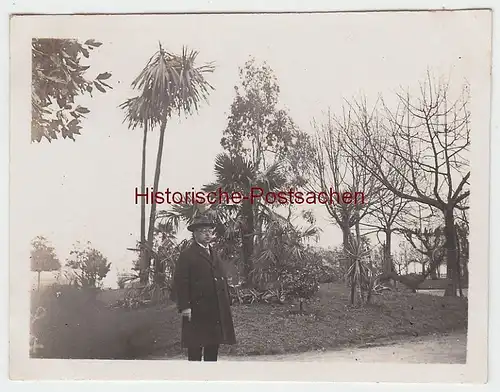 (F4675) Orig. Foto Locarno, Herr vor Palme, März 1926