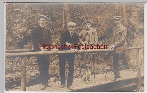 (F7437) Orig. Foto Sülzhayn, Herren mit Hund auf kleiner Holzbrücke, 1911
