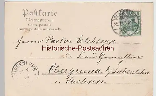 (108375) AK Glauchau, Sachsen, Gründelteich, Insel, Hedrich Säule, Brücke 1903