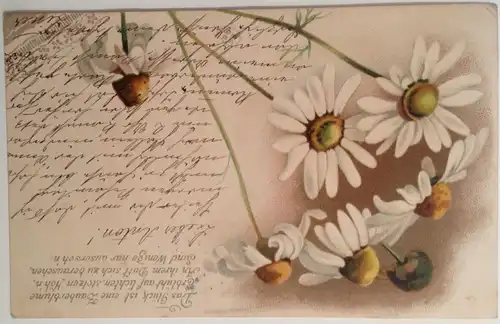 Blumen Spruchkarte    11551