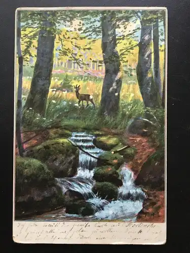 Waldlandschaft mit Reh - Bach - Waldlichtung - Künstlerkarte 909 TH F
