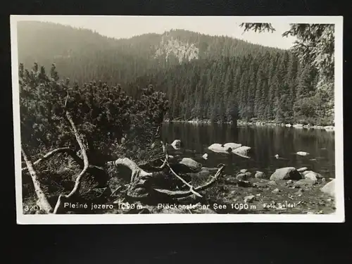 Plöckensteiner See - Böhmerwald - Plesne Jezero 180163 TH