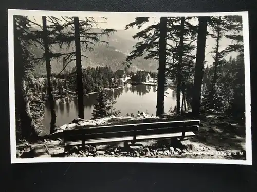 Mummelsee im Schwarzwald - Bank - Blick auf See 180170 TH G